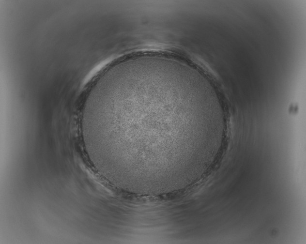 X0000113261208200909171642