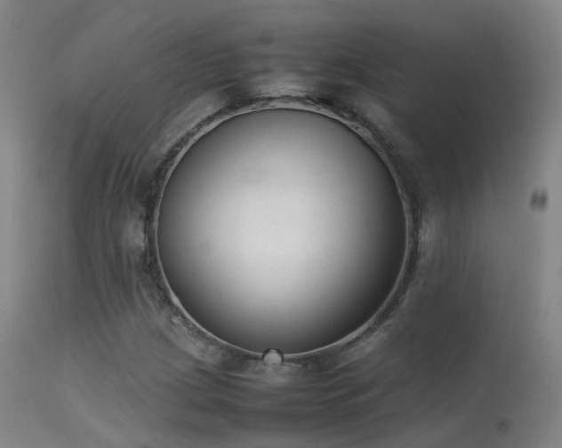 X0000113261209200909171642