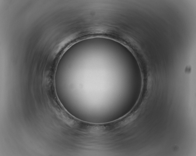 X0000113261210200909171642