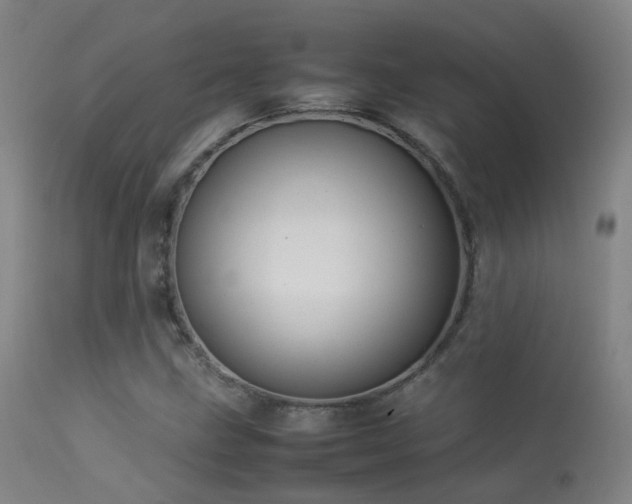 X0000113261211200909171642