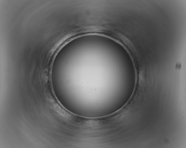 X0000113261212200909171642