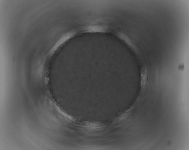 X0000113261213200909171642