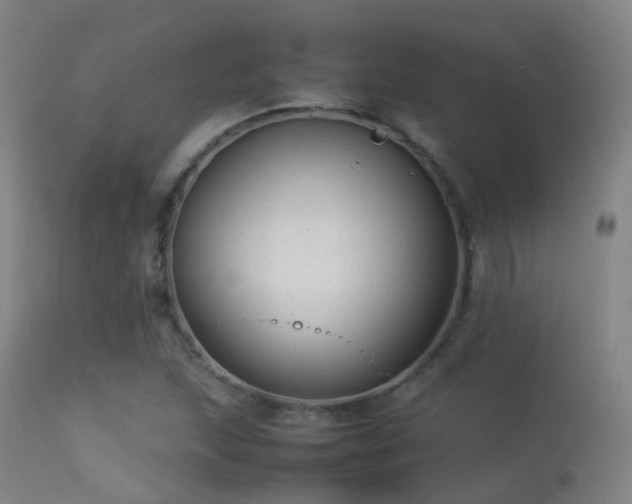 X0000113261215200909171642