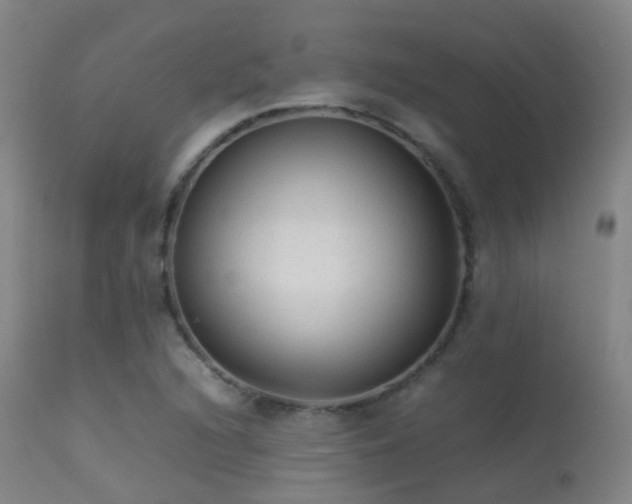 X0000113261216200909171642