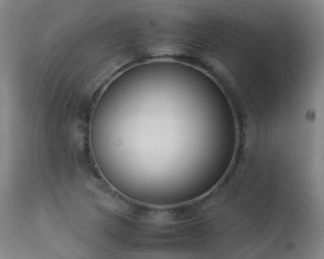 X0000113261217200909171642