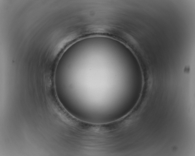 X0000113261218200909171642