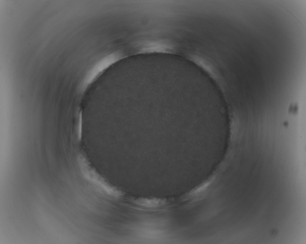 X0000113261219200909171642