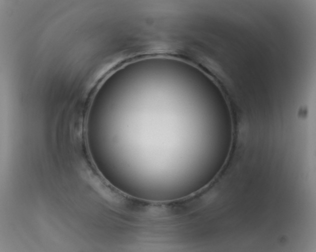 X0000113261220200909171642