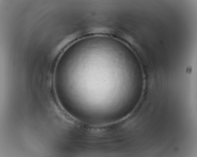 X0000113261221200909171642