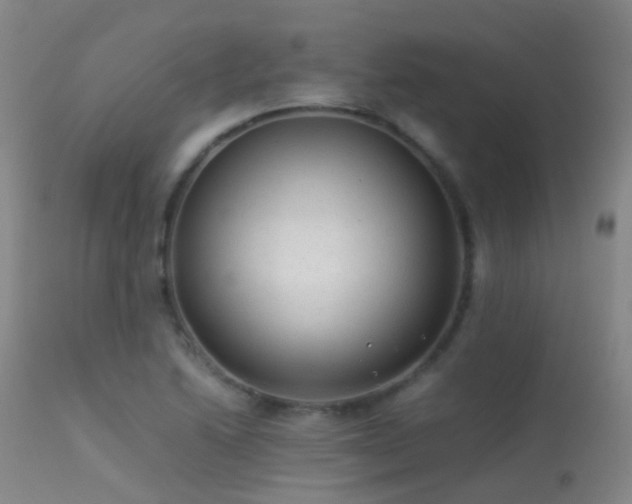 X0000113261222200909171642