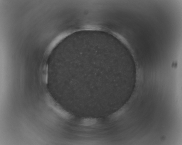 X0000113261223200909171642