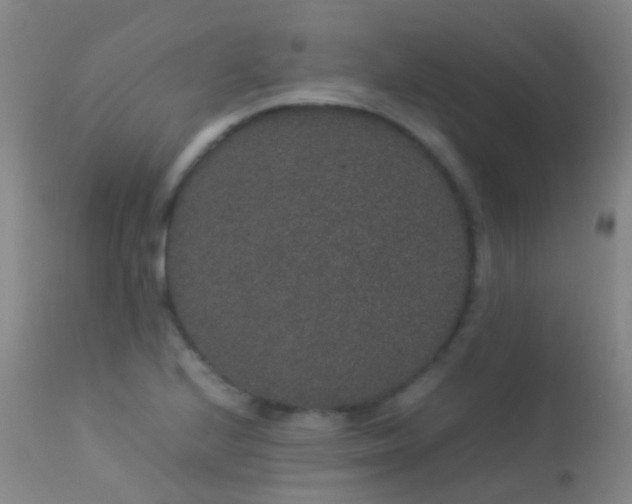 X0000113261224200909171642