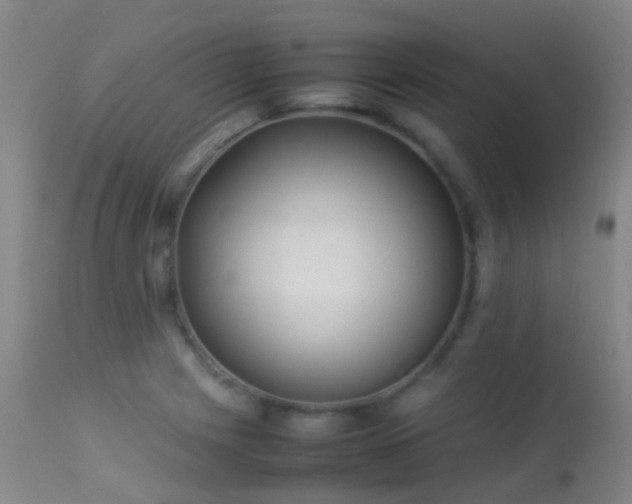 X0000113261225200909171642