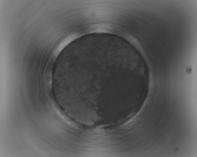 X0000113261226200909171642