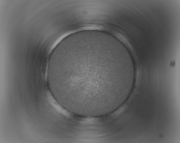 X0000113261228200909171642