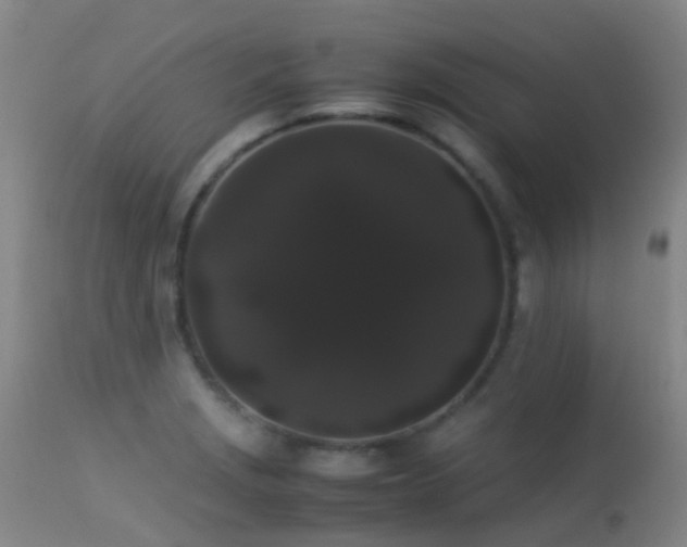 X0000113261229200909171642