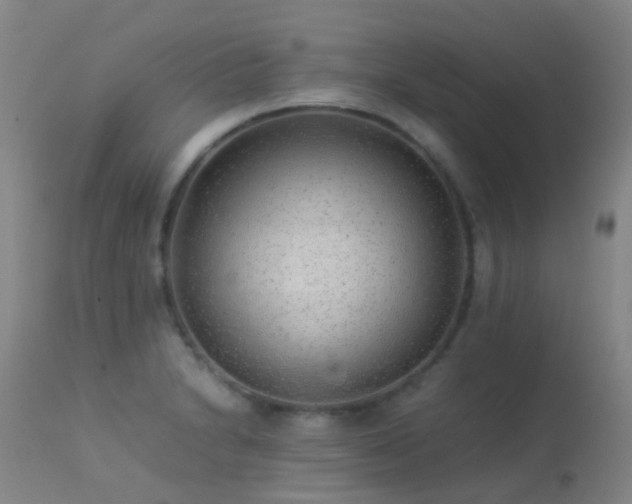 X0000113261230200909171642