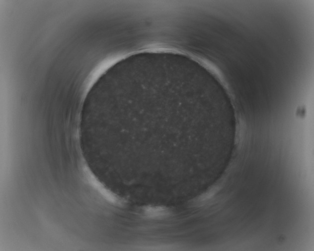 X0000113261231200909171642