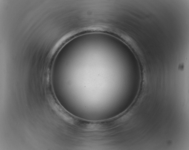 X0000113261232200909171642