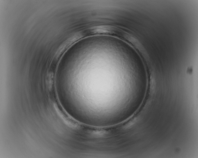 X0000113261233200909171642