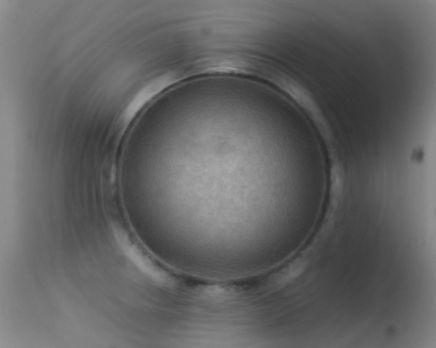 X0000113261234200909171642