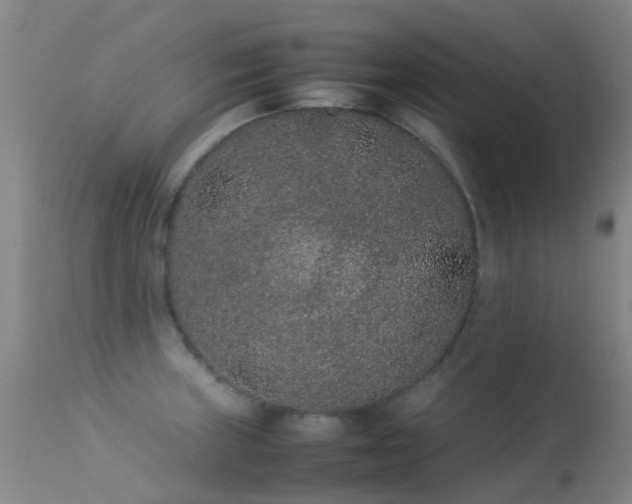 X0000113261235200909171642