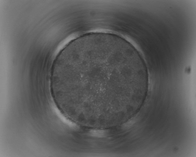 X0000113261237200909171642