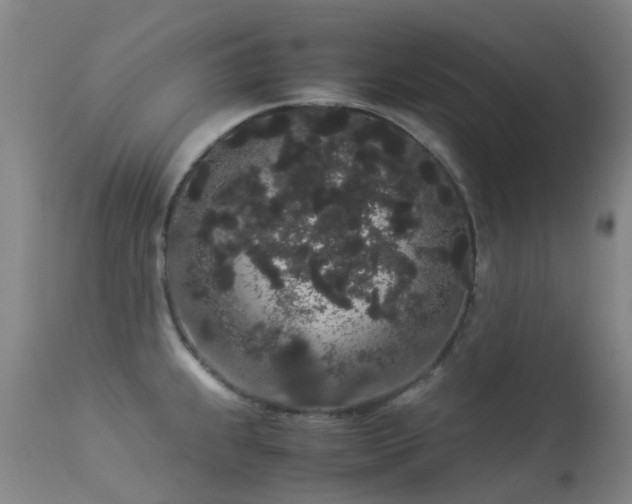 X0000113261239200909171642