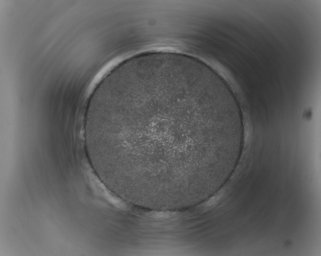 X0000113261240200909171642