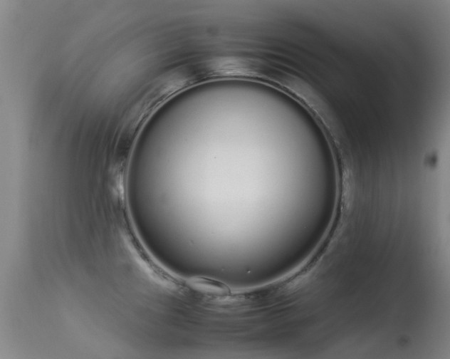 X0000113261241200909171642