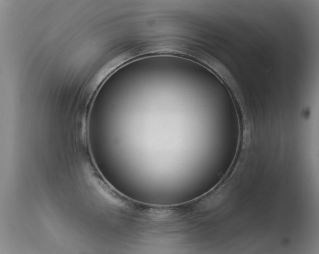 X0000113261242200909171642