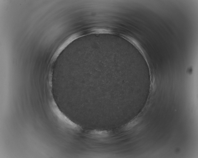 X0000113261243200909171642