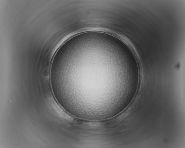 X0000113261244200909171642