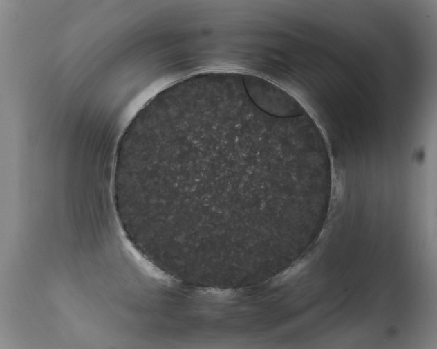 X0000113261245200909171642