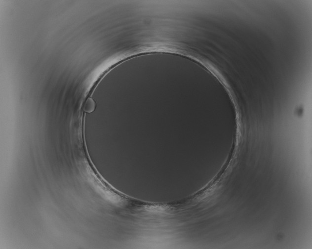 X0000113261246200909171642