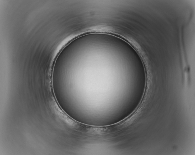 X0000113261248200909171642