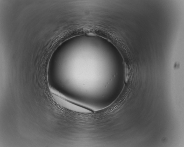 X0000113261249200909171641