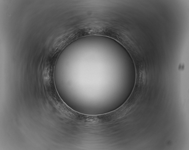 X0000113261250200909171641