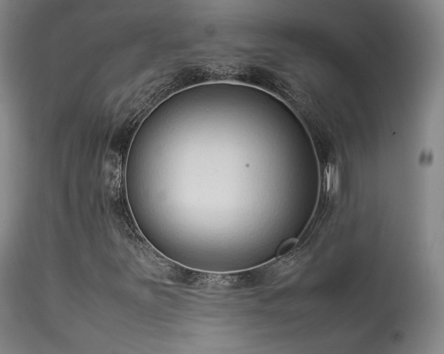 X0000113261251200909171641