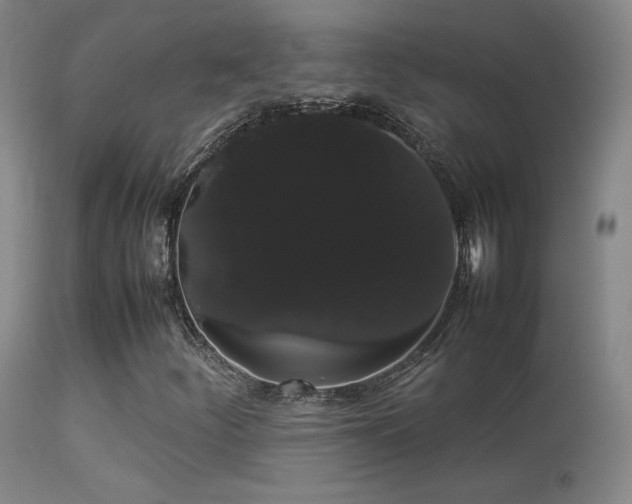 X0000113261252200909171641