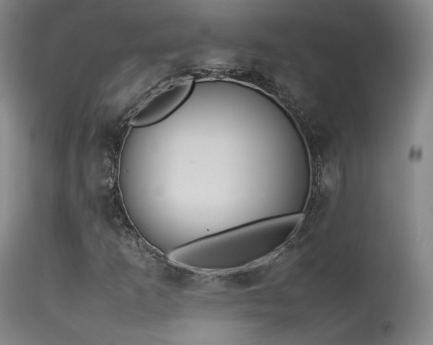 X0000113261253200909171641