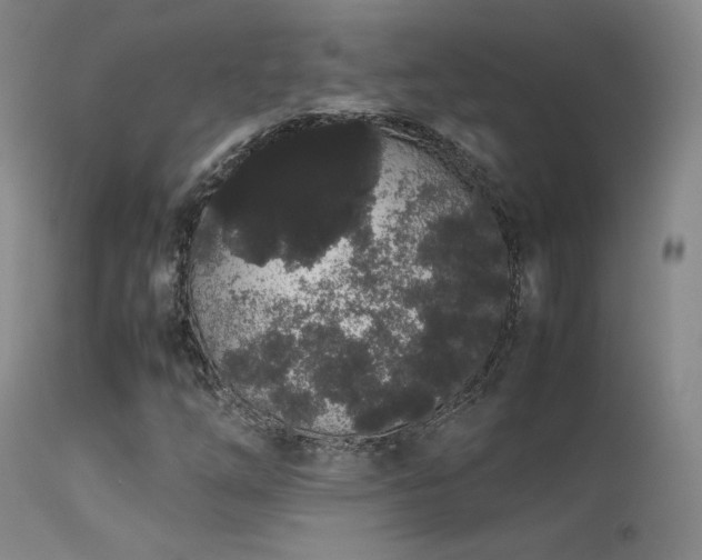 X0000113261254200909171641