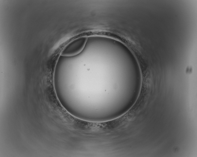 X0000113261255200909171641