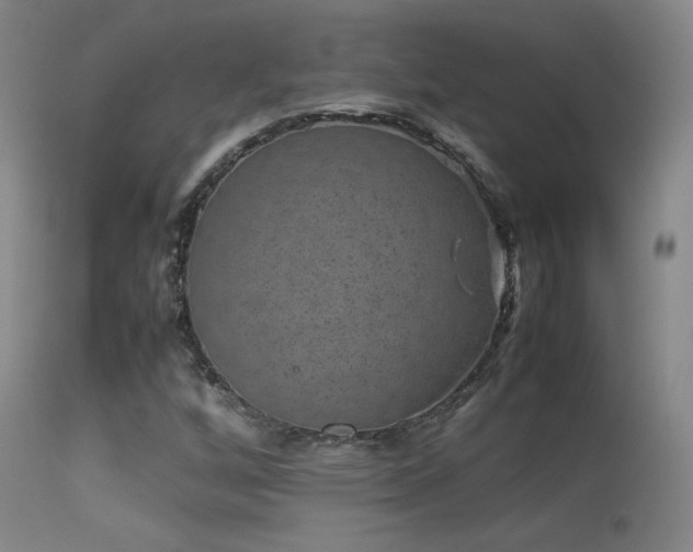 X0000113261256200909171641