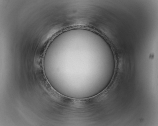 X0000113261258200909171641