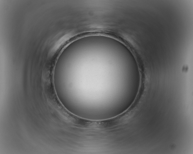 X0000113261259200909171641