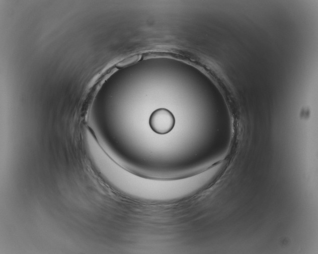 X0000113261260200909171641