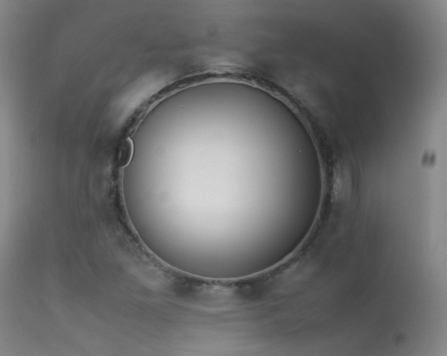 X0000113261261200909171641