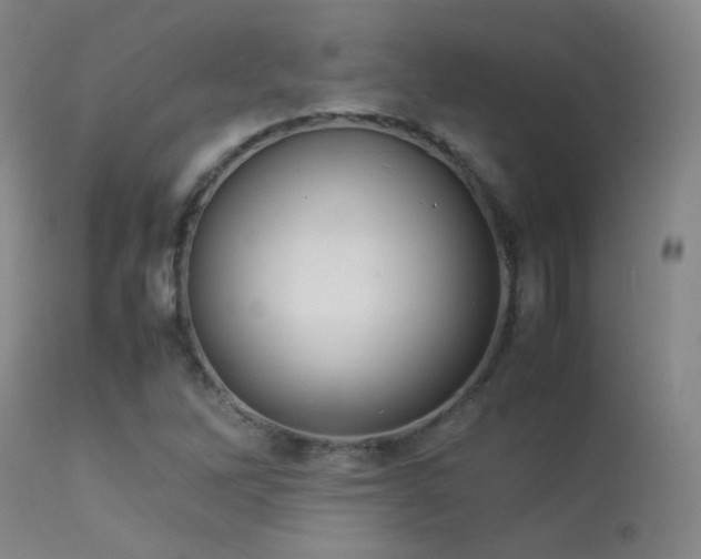 X0000113261262200909171641