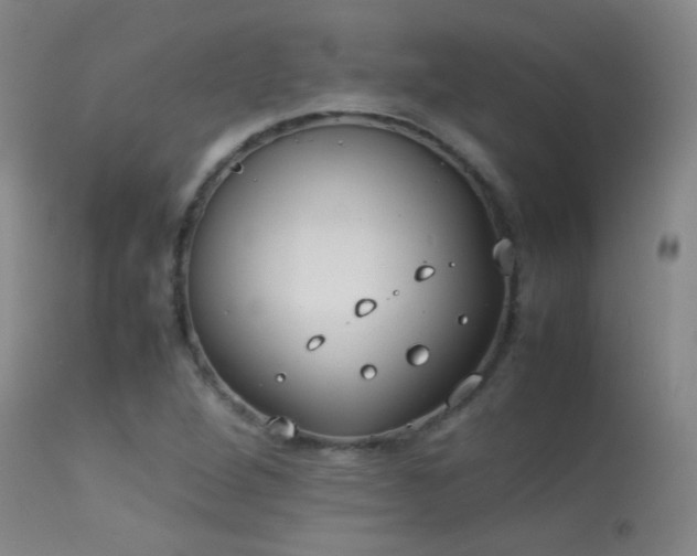 X0000113261264200909171641